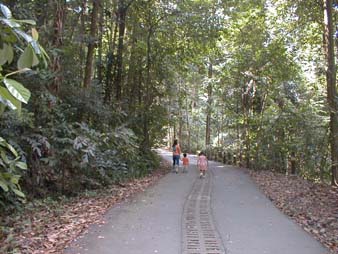 Main Route