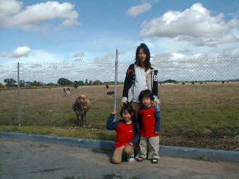 Farm