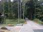 Bukit Timah Nature Reserve